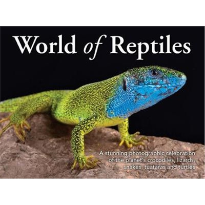 预订不退不换World of Reptiles