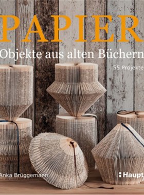 预订【德语】Papier-Objekte aus alten Büchern:55 Projekte
