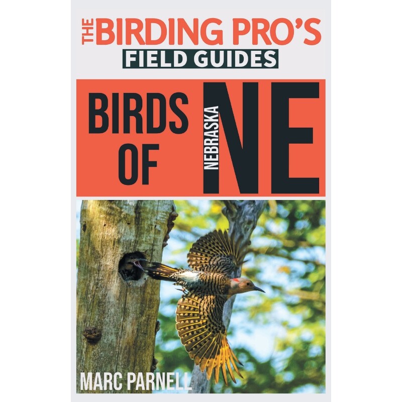 按需印刷不退不换Birds of Nebraska (The Birding Pro s Field Guides)[9781954228382]