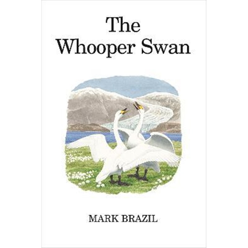 预订the whooper swan