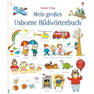 großes Mein Usborne Bildwörterbuch 预订 9781782321187 德语