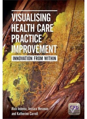 预订Visualising Health Care Practice Improvement:Innovation from Within[9781846194504]