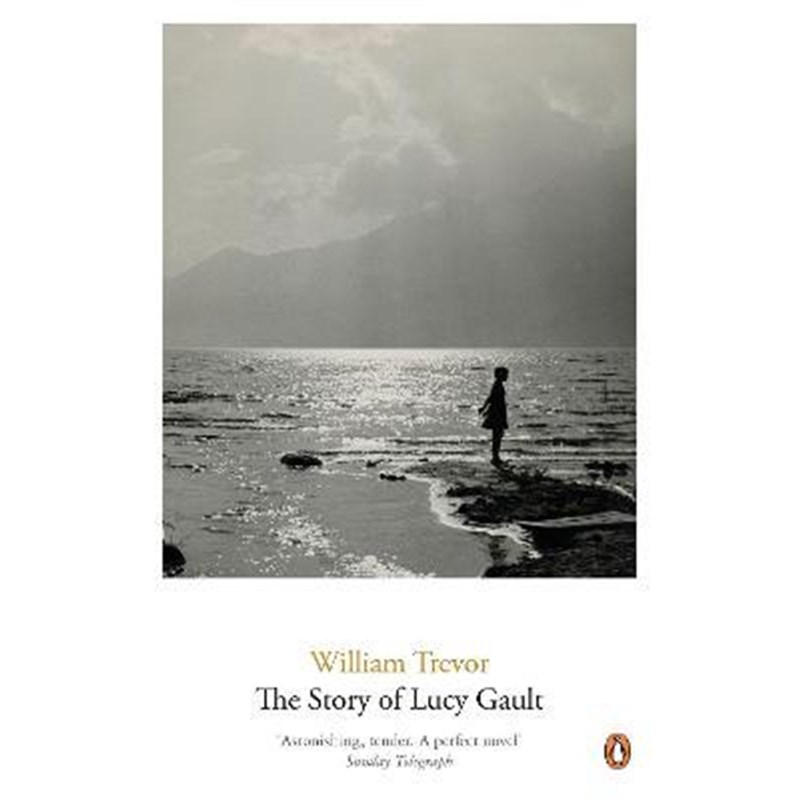 预订，预计下单后3-6周左右发货！