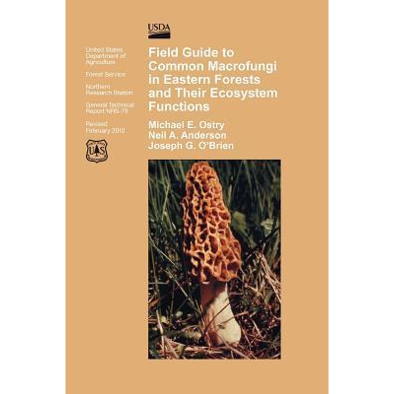 按需印刷Field Guide to Common Macrofungi in Eastern Forests and Their Ecosystem Function[9781782662075]
