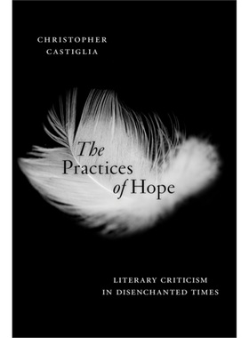 预订The Practices of Hope:Literary Criticism in Disenchanted Times[9781479803552]