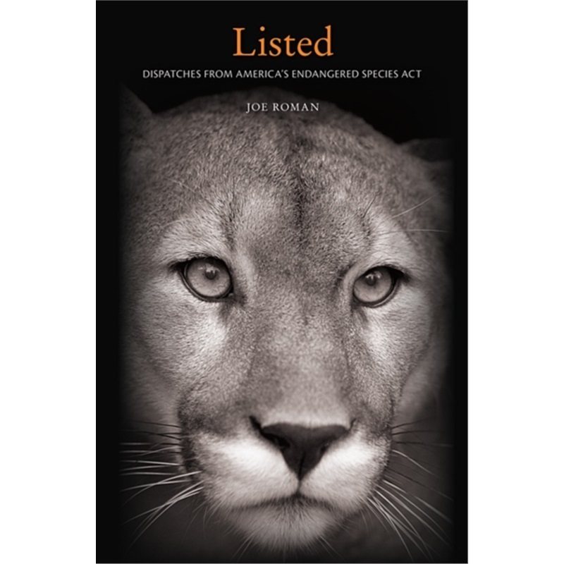 预订，预计下单后4-6周左右发货