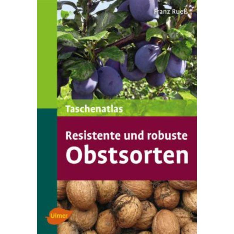 预订，预计下单后3-6周左右发货！