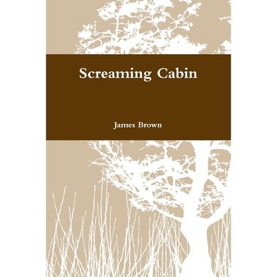 按需印刷Screaming Cabin[9781300341468]