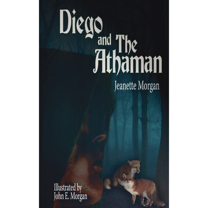 预订，预计下单后2-3周左右发货！