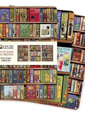 现货   博德莱安图书馆Bodleian Libraries Set of 3 Midi Notebooks 笔记本 3小册 平装