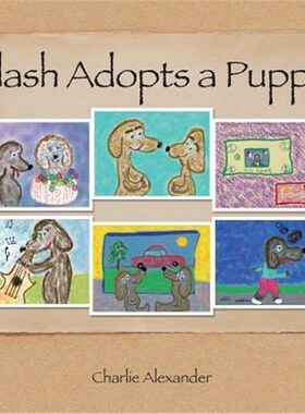 按需印刷不退不换Flash Adopts a Puppy[9781543443066]