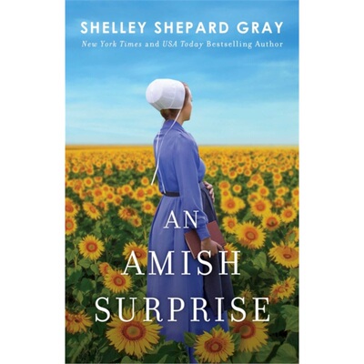 预订不退不换Amish Surprise[9781982148454]