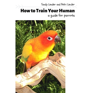 9780999878033 Train Human Your 按需印刷How