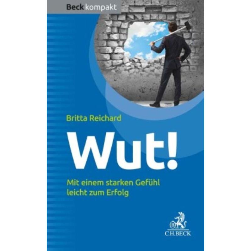 预订，预计下单后3-6周左右发货！