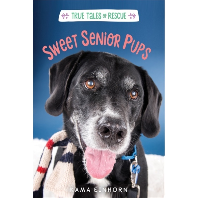 预订，预计下单后4-6周左右发货