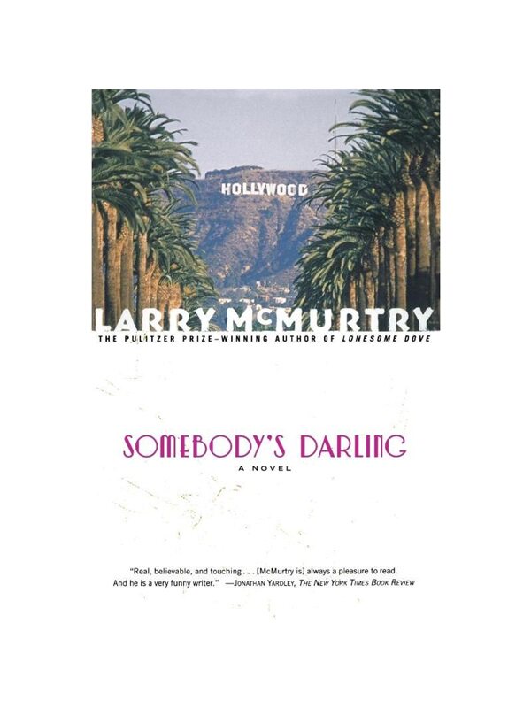 按需印刷不退不换SOMEBODYS DARLING[9780684853895]