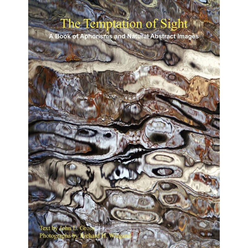 按需印刷不退不换The Temptation of Sight[9781456805005]