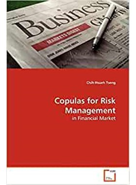 按需印刷Copulas for Risk Management[9783639133462]