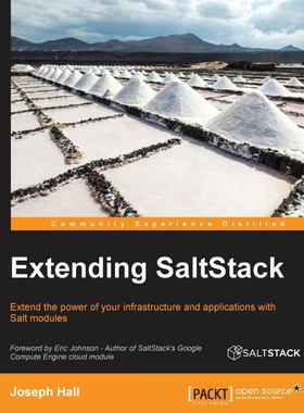 按需印刷Extending SaltStack[9781785888618]