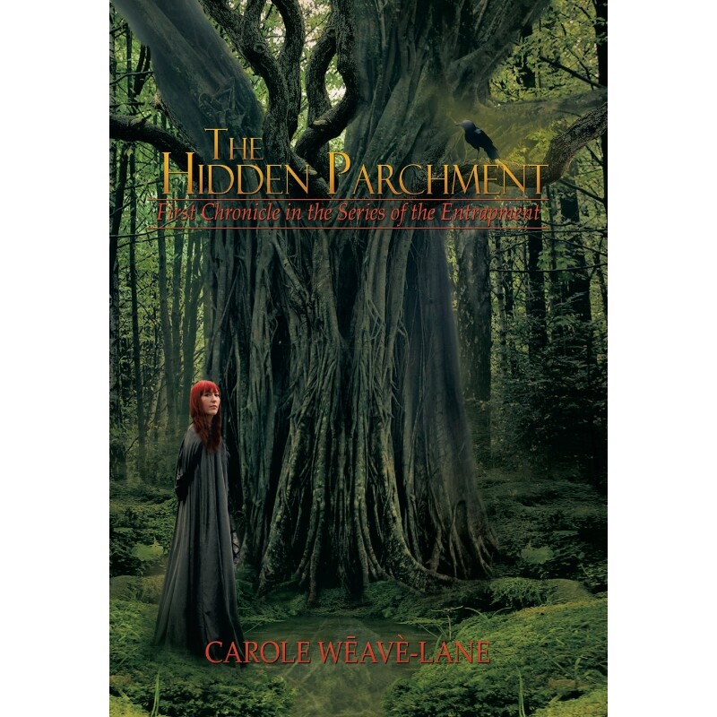 按需印刷不退不换The Hidden Parchment[9781479765676]