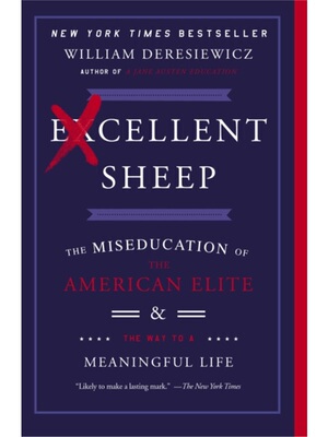 预售【2024新书】Excellent Sheep[9781476702728]