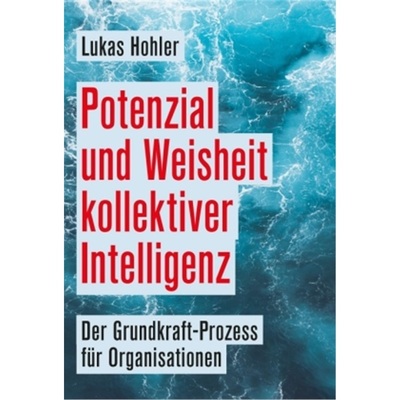 预订【德语】Potenzial und Weisheit kollektiver Intelligenz[9783347239166]