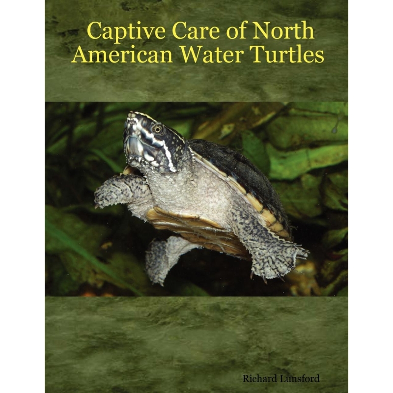 预订,预计下单后2-3周左右发货!