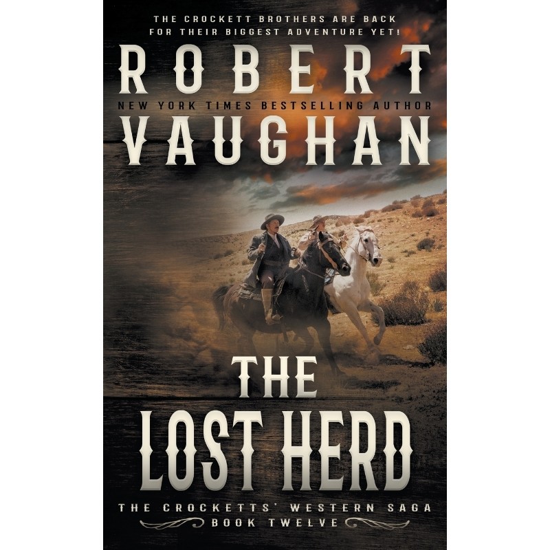 预订，预计下单后2-3周左右发货！