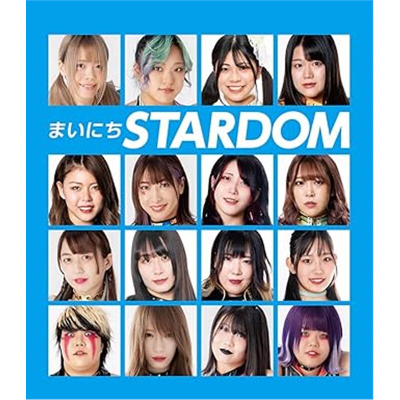 日版娱乐まいにちSTARDOM[9784768317037]