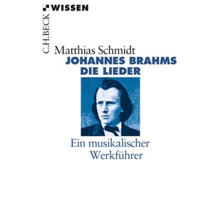 Brahms. Johannes Die Lieder 预订 9783406682827 德语