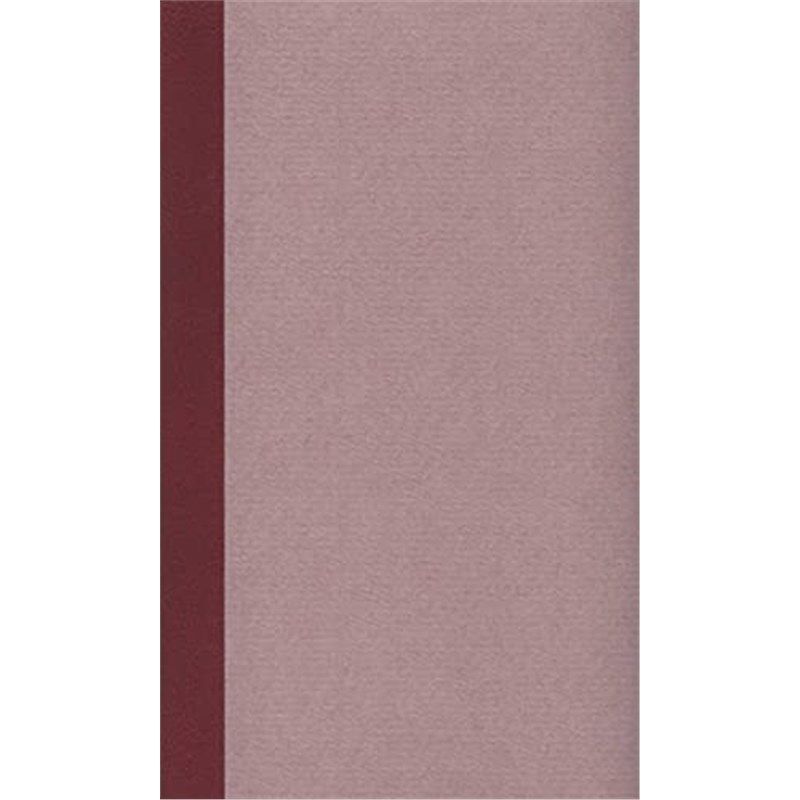 预订，预计下单后3-6周左右发货！