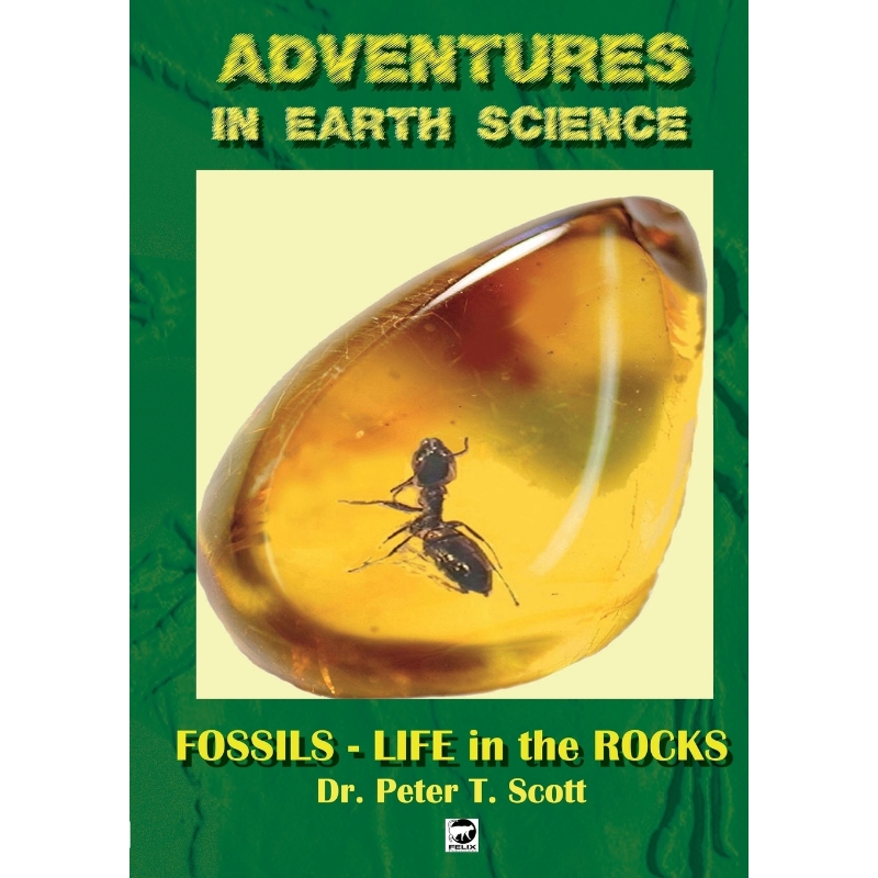 按需印刷Fossils- Life in the Rocks[9780994643247]