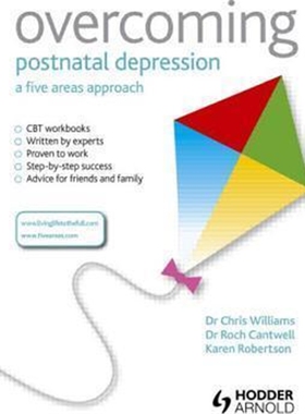 预订不退不换Overcoming Postnatal Depression: A Five Areas Approach