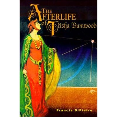 按需印刷The Afterlife of Trisha Bumwood[9780595156702]