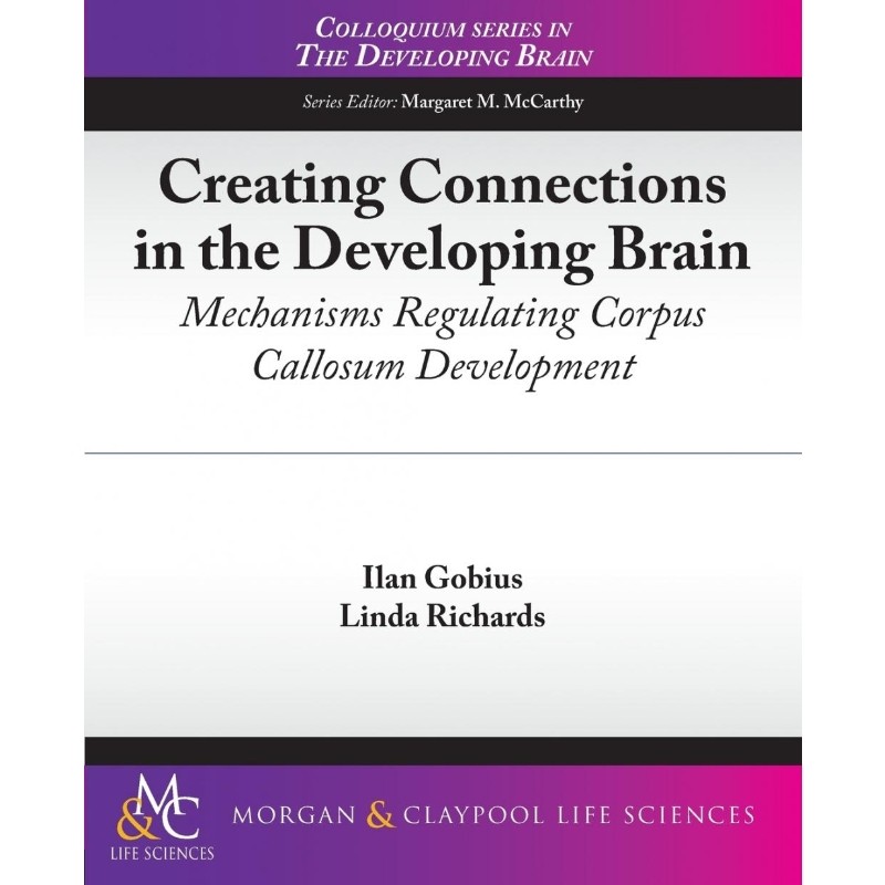 预订，预计下单后2-3周左右发货！