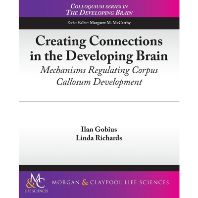 按需印刷不退不换Creating Connections in the Developing Brain[9781615040780]