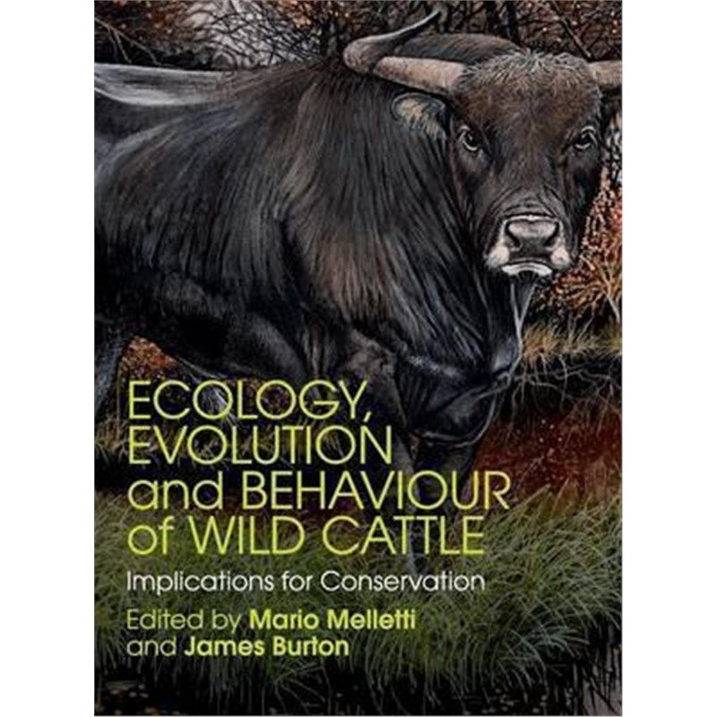 预订，预计下单后3-4周左右发货！