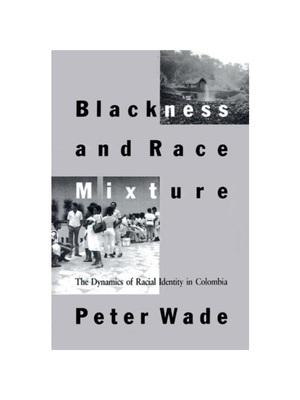 按需印刷Blackness and Race Mixture[9780801852510]