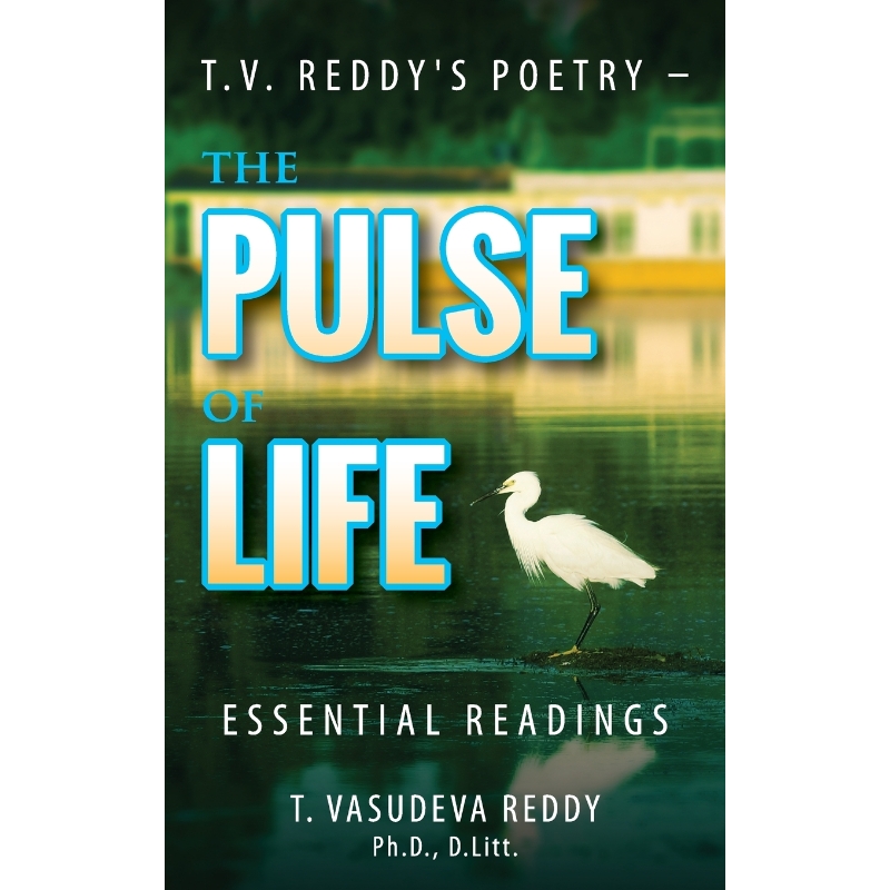 预订，预计下单后2-3周左右发货！