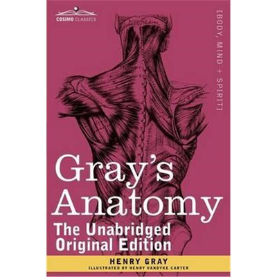 按需印刷不退不换Gray's Anatomy[9781616404697]