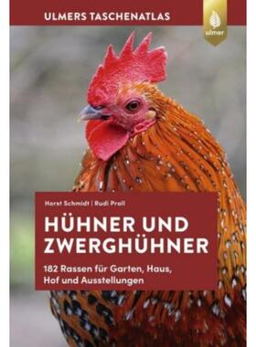 预订不退不换德语 Hühner und Zwerghühner:182 Rassen für Garten, Haus, Hof und Ausstellung