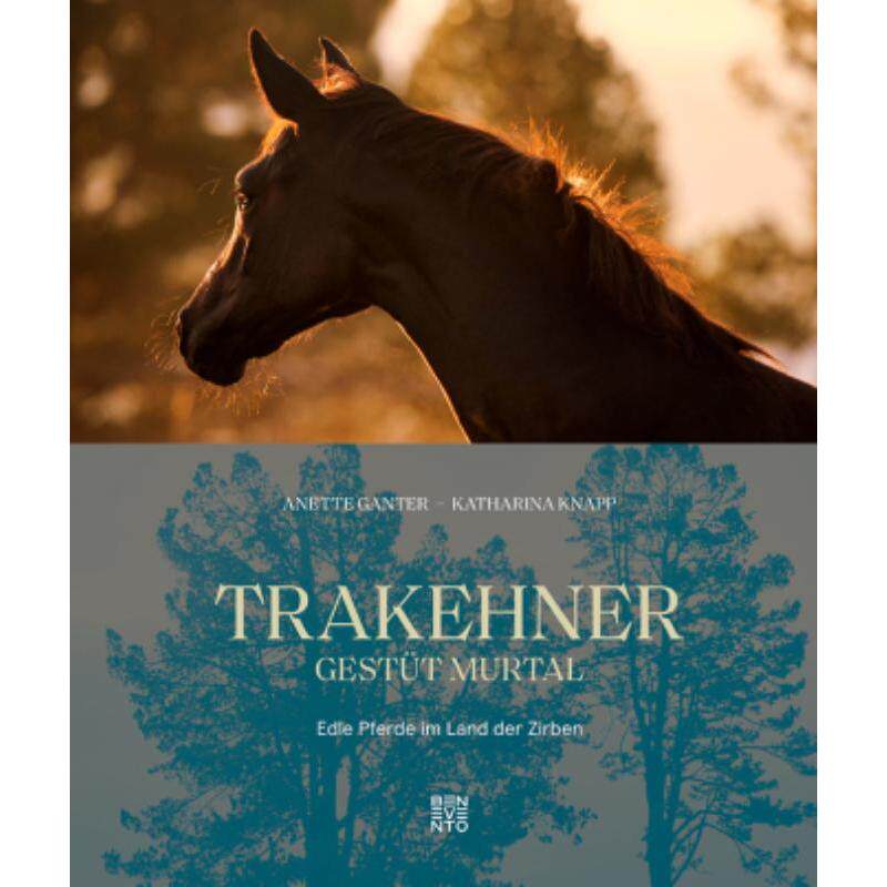 预订，预计下单后3-6周左右发货！