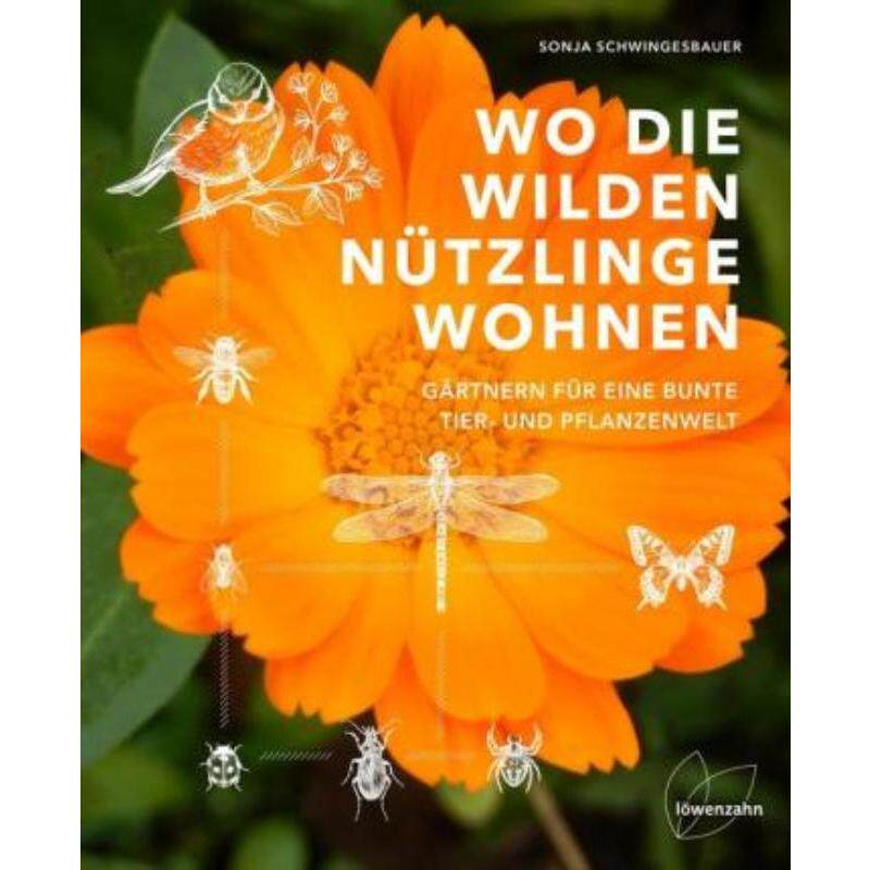 预订，预计下单后3-6周左右发货！