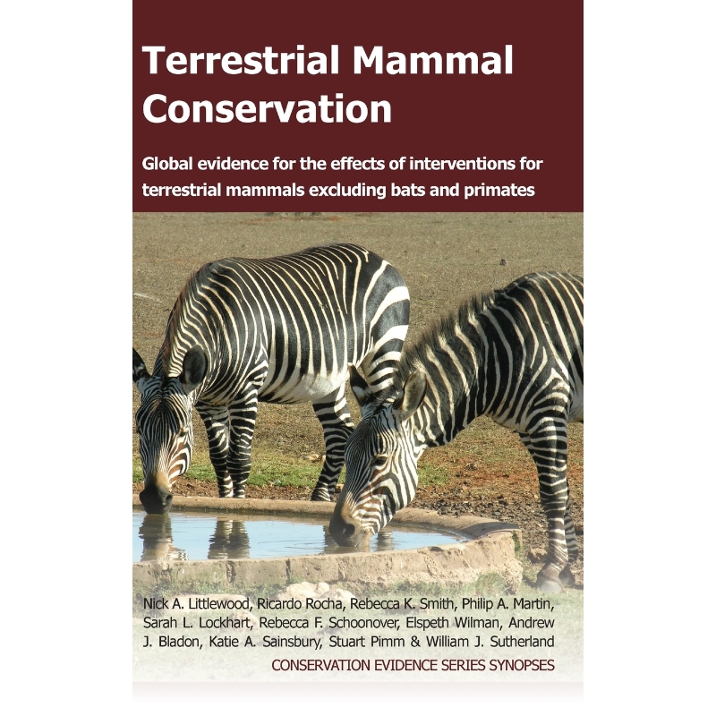 预订,预计下单后2-3周左右发货!