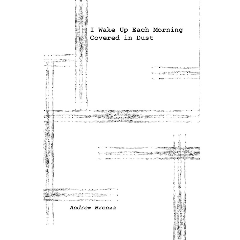 按需印刷不退不换I Wake Up Each Morning Covered in Dust[9781948637077]