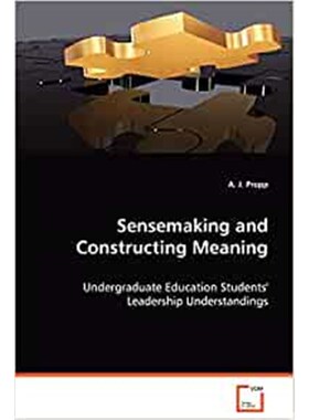 按需印刷不退不换Sensemaking and Construction Meaning[9783836463744]