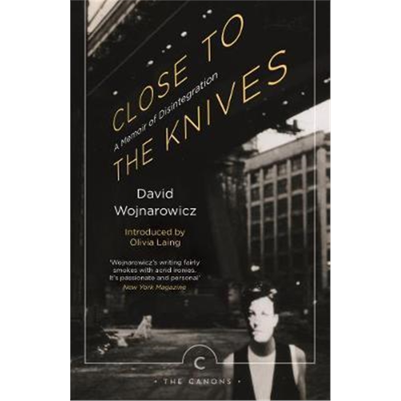 预订Close to the Knives:A Memoir of Disintegration