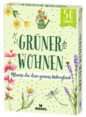 预订不退不换德语 Blatt & Blüte Grüner Wohnen:Pflanze dir dein grünes Wohnglück