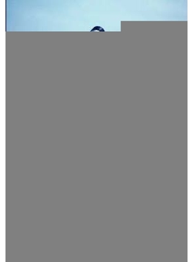 按需印刷High Resolution Gamma Detector for Small-animal Positron Emission Tomography[9783836467476]