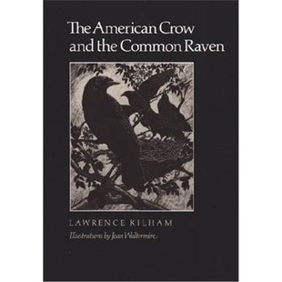 Crow Raven The American 按需印刷 Common